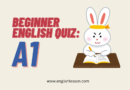 Beginner English Quiz